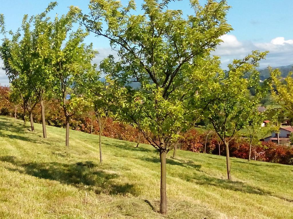 La Casa De Orviz Ferienhaus Siero
